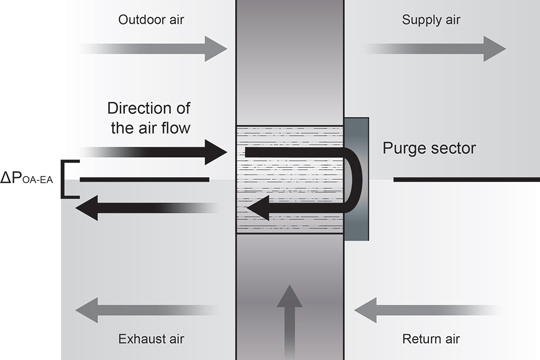 purge sector