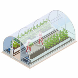 Greenhouses